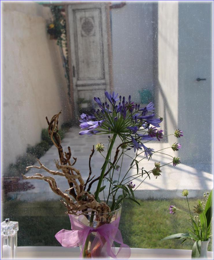 Bed and Breakfast Il Sole Di Poggi Imperia Exterior foto